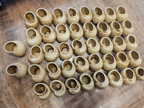 Coquilles escargots en - d'escargots,