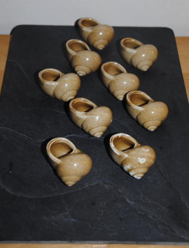 Lot grosses coquilles - grosses,