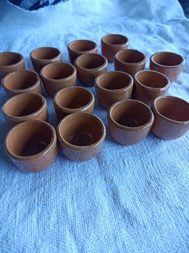 Lot coquillages - 17,