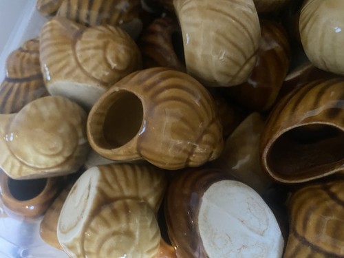 Lot coquilles - lot,