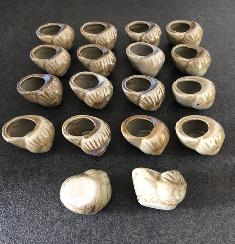 Lot coquille escargot - 18,