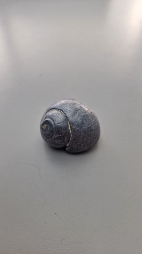 Escargot plomb objet unique - en,